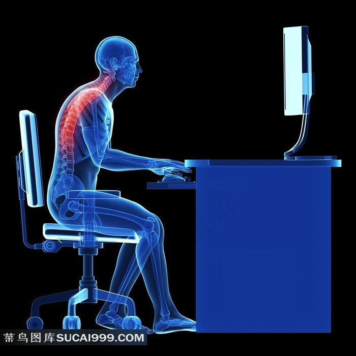 医疗透视系列 - 唯美人体透视