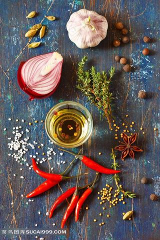 餐饮美食调味佐料原料