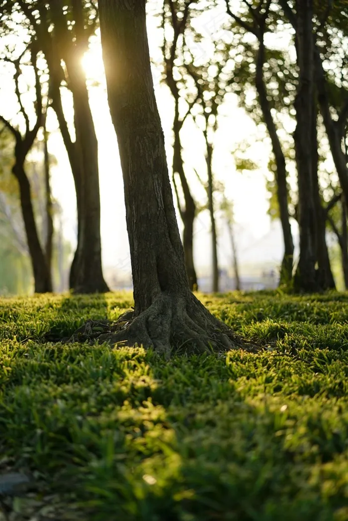 下午的郊野公园