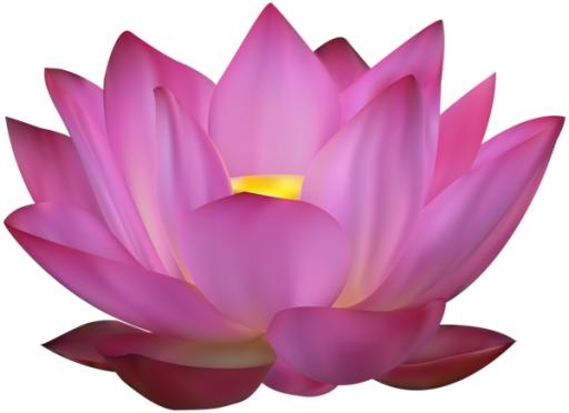 莲花 PNG免抠(600x436)