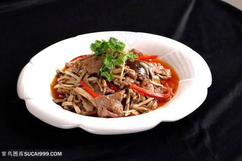 鲍汁茶树菇中华美食摄影图