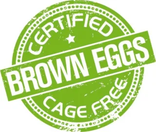 免抠促销标签矢量