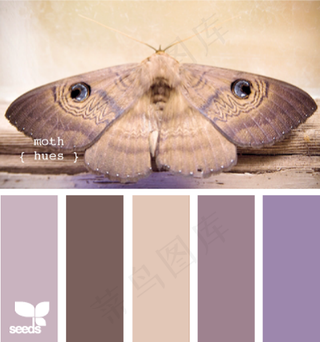 动物配色色卡色彩搭配