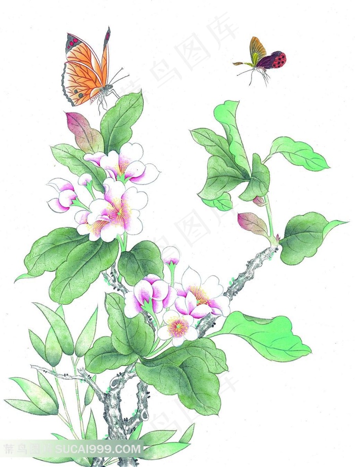 工笔画鲜花中的蝴蝶