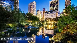 纽约*公园湖边夜景