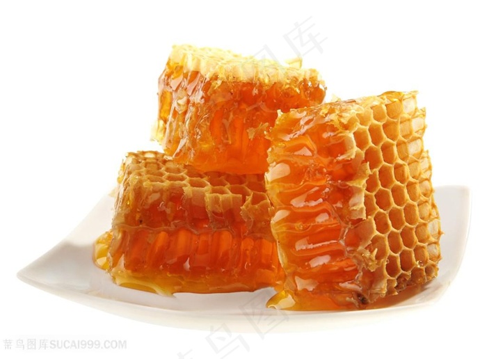 精品蜂巢高清图片
