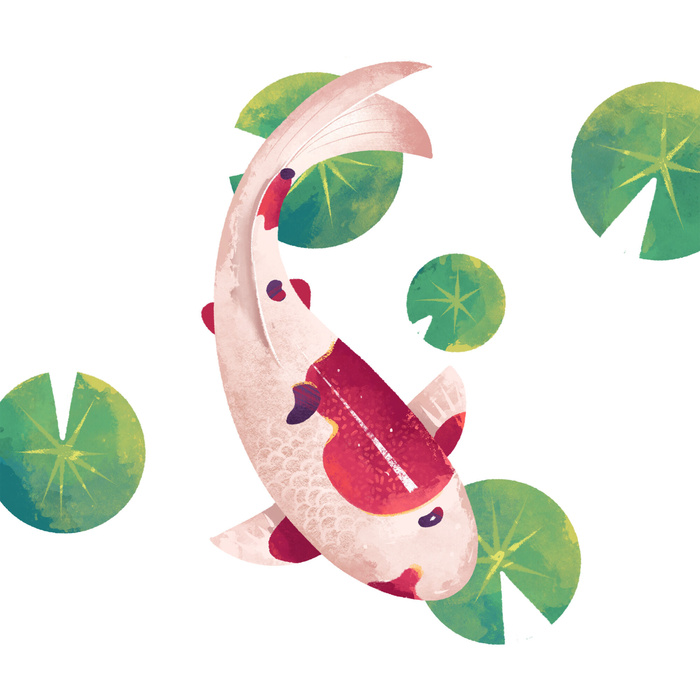 手绘国潮古风喜庆铜钱锦鲤鱼金鱼荷花插画场景装饰PSD设计素