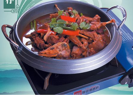 J04-0078   茶油野鸭