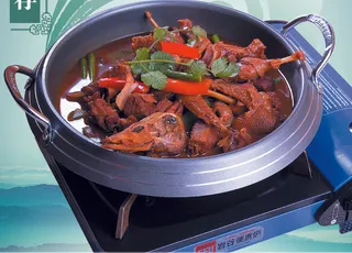 J04-0078   茶油野鸭