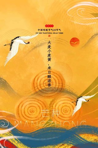 芒种 芒种宣传促销