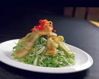 LCH1115苦菊蝴蝶贝