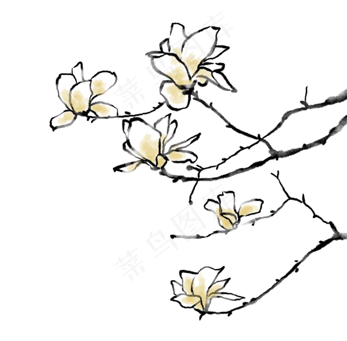 中国画手绘梅花