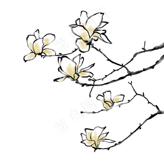 中国画手绘梅花