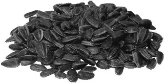 向日葵种子 PNG免抠