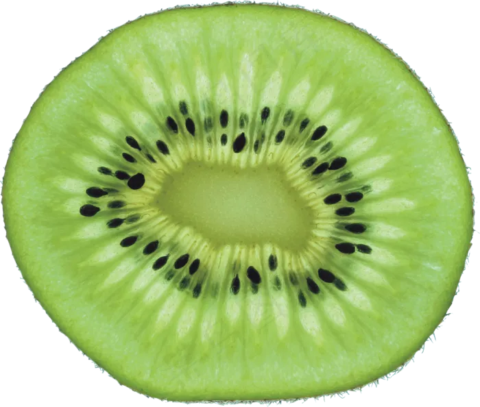 猕猴桃免抠素材 (24)