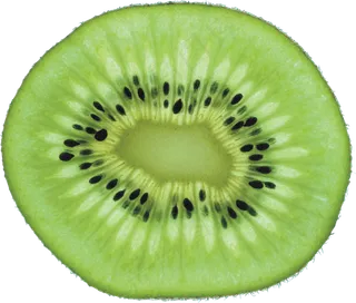 猕猴桃免抠素材 (24)