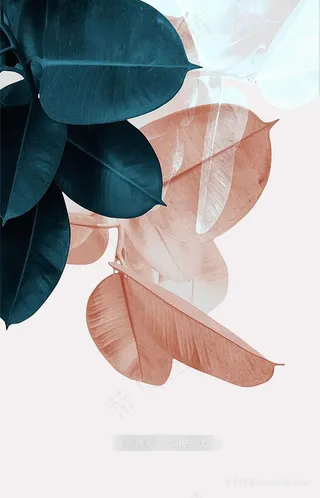 唯美水彩树叶装饰画