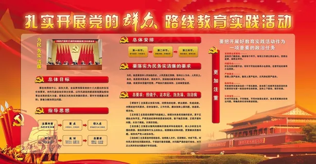 建党100周年扎实开展党的 建党100周年扎实开展党的