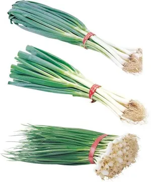 韭菜免抠