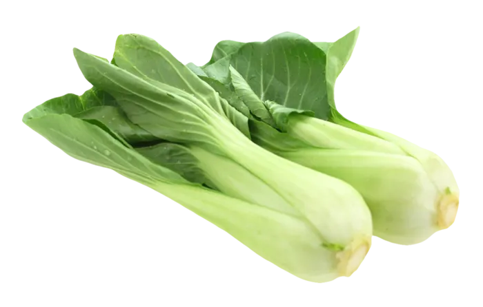 蔬菜大白菜