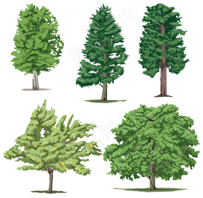 树木免扣图片 