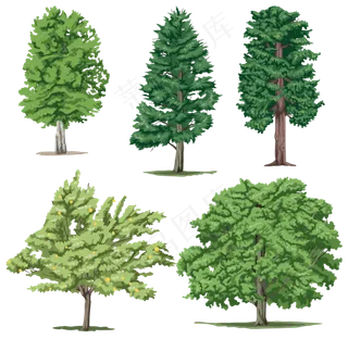 树木免扣图片 