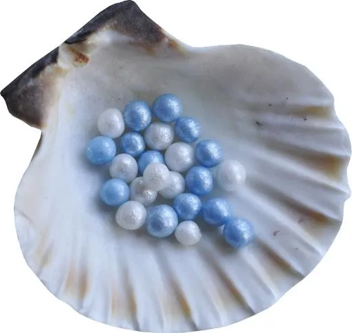 贝壳 PNG免抠(2192x2080)