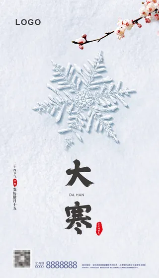 中式简约大寒节气海报