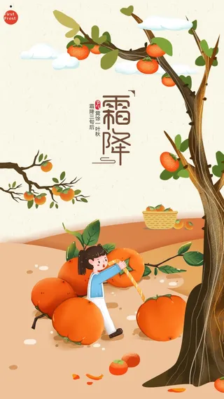 柿子二十四节气霜降海报