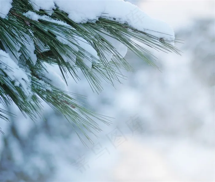 下雪的冬天素材