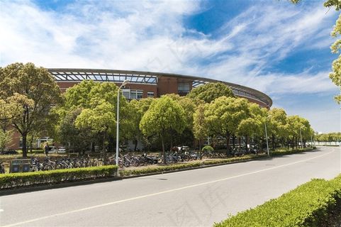 校园树木树林林荫小路