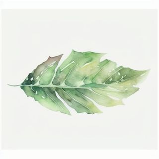 一片叶子png免抠