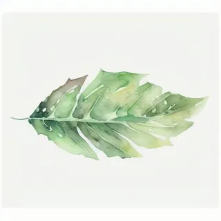 一片叶子png免抠