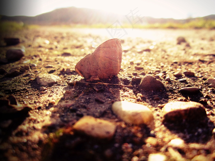 唯美逆光非主流图片