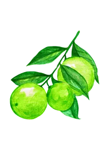 水果水彩画水果免扣素材