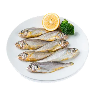 小黄鱼海鲜超市商品红酒白底图免抠实物摄影png格式图片透明底