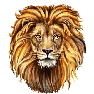 狮子王卡通