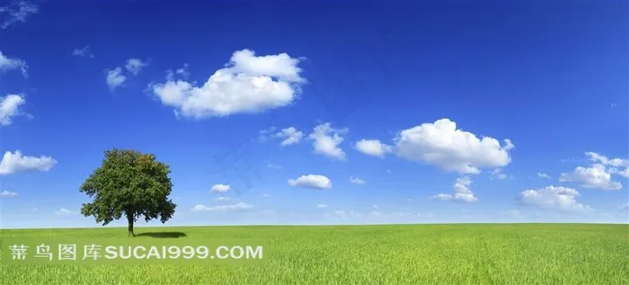 蓝天白云草地天空风景图片下载