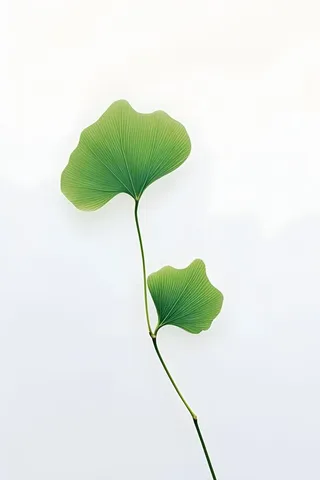 白底绿叶简约清新背景