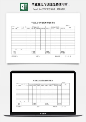 毕业生见习训练经费使用审批表excel模板