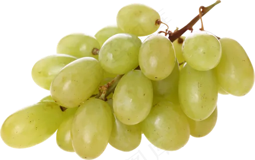 葡萄免抠素材 (25)