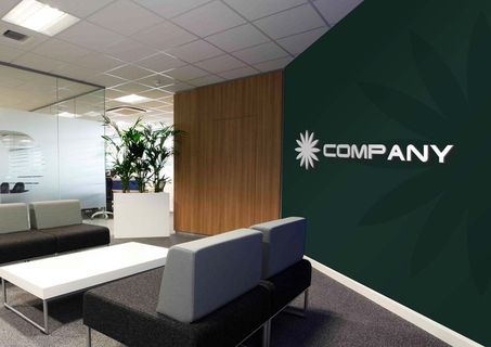 办公室样机 明亮高端 办公场所 (3)