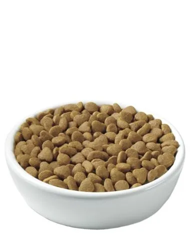 狗粮 PNG免抠(380x475)