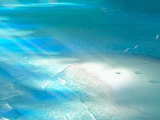 夏天夏季夏日沙滩海滩海鸥