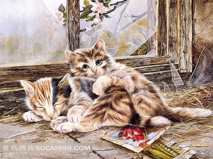窗前的两只小猫插画素材