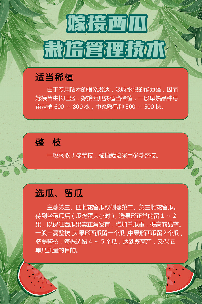 嫁接西瓜栽培管理农业技术海报psd模版下载