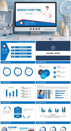 医疗护理 工作计划总结 PPT模板