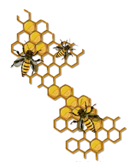 蜜蜂甜蜜卡通 蜜蜂甜蜜卡通