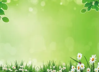 绿色背景 温馨背景 