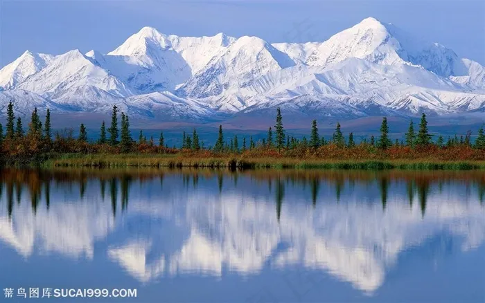 蓝天白云下积雪的雪山和山下的大片绿色森林自然风景
